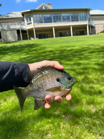 $1,200,000 | 29120 Ketterhagen Road, Burlington, WI 53105