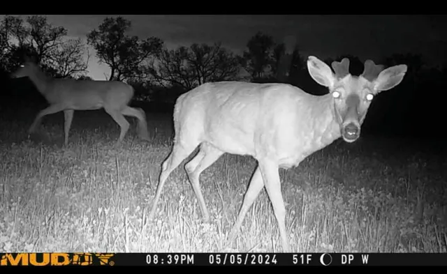 $1,200,000 | 29120 Ketterhagen Road, Burlington, WI 53105