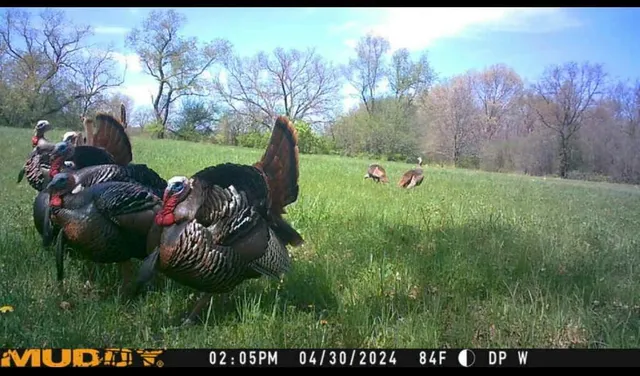 $1,200,000 | 29120 Ketterhagen Road, Burlington, WI 53105