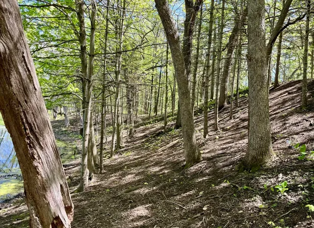 $1,200,000 | 29120 Ketterhagen Road, Burlington, WI 53105