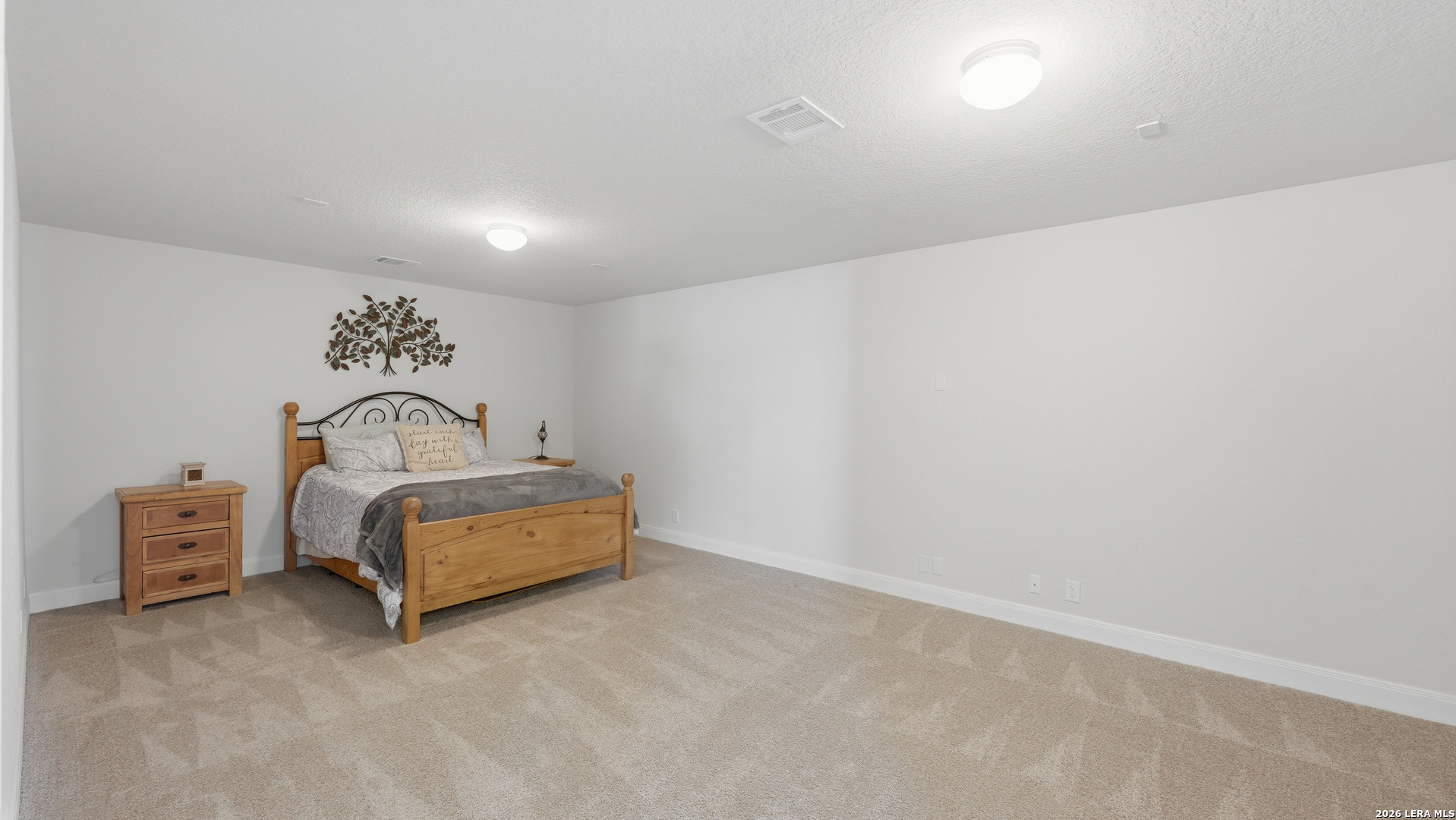 770 Rushing Banks Cibolo, TX 78108 - Photo 38 of 50