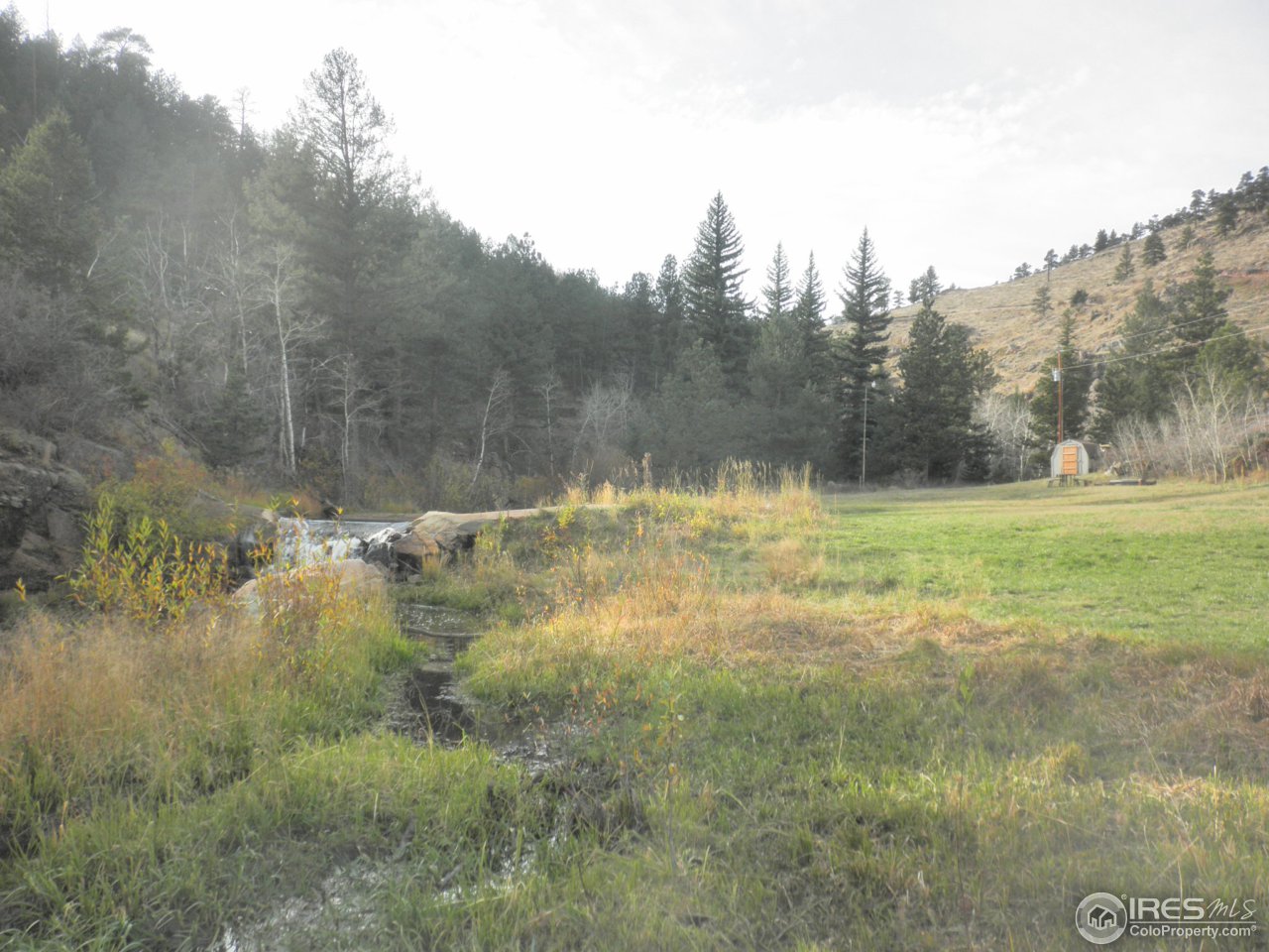 2310 Red Ashby Road Livermore, CO 80536 - Photo 11 of 25 Meadow near Creek