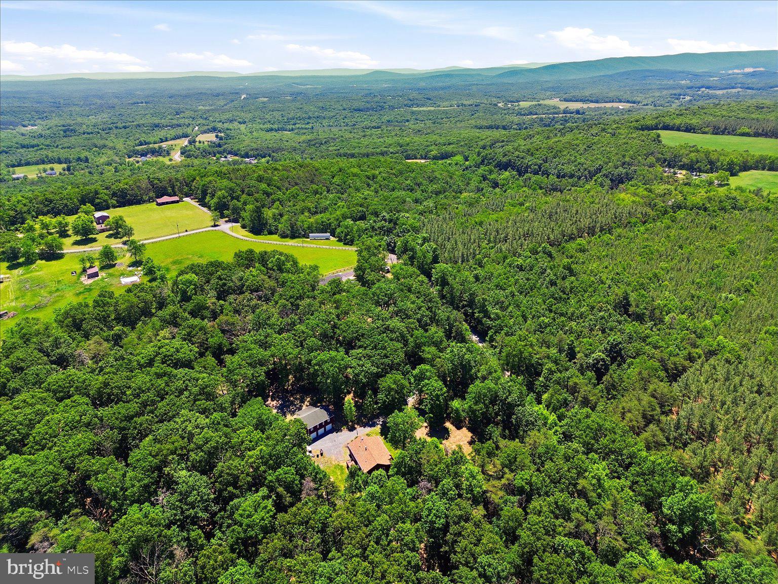 323 South Timber Ridge Road Cross Junction, VA 22625 - Photo 100 of 109 Serene woodland retreat awaits you.