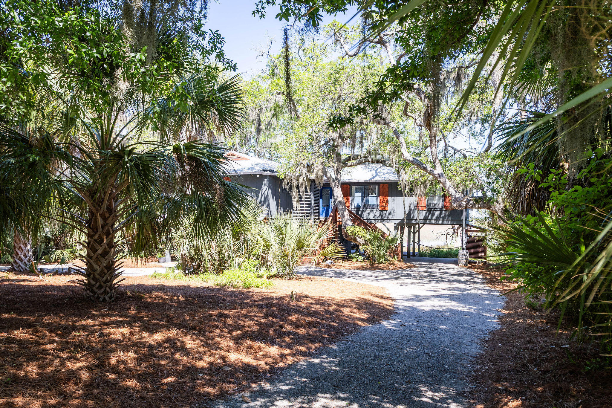 1205 Jungle Road Edisto Island, SC 29438 - Photo 4 of 79 TammaSmithPhotography-8708