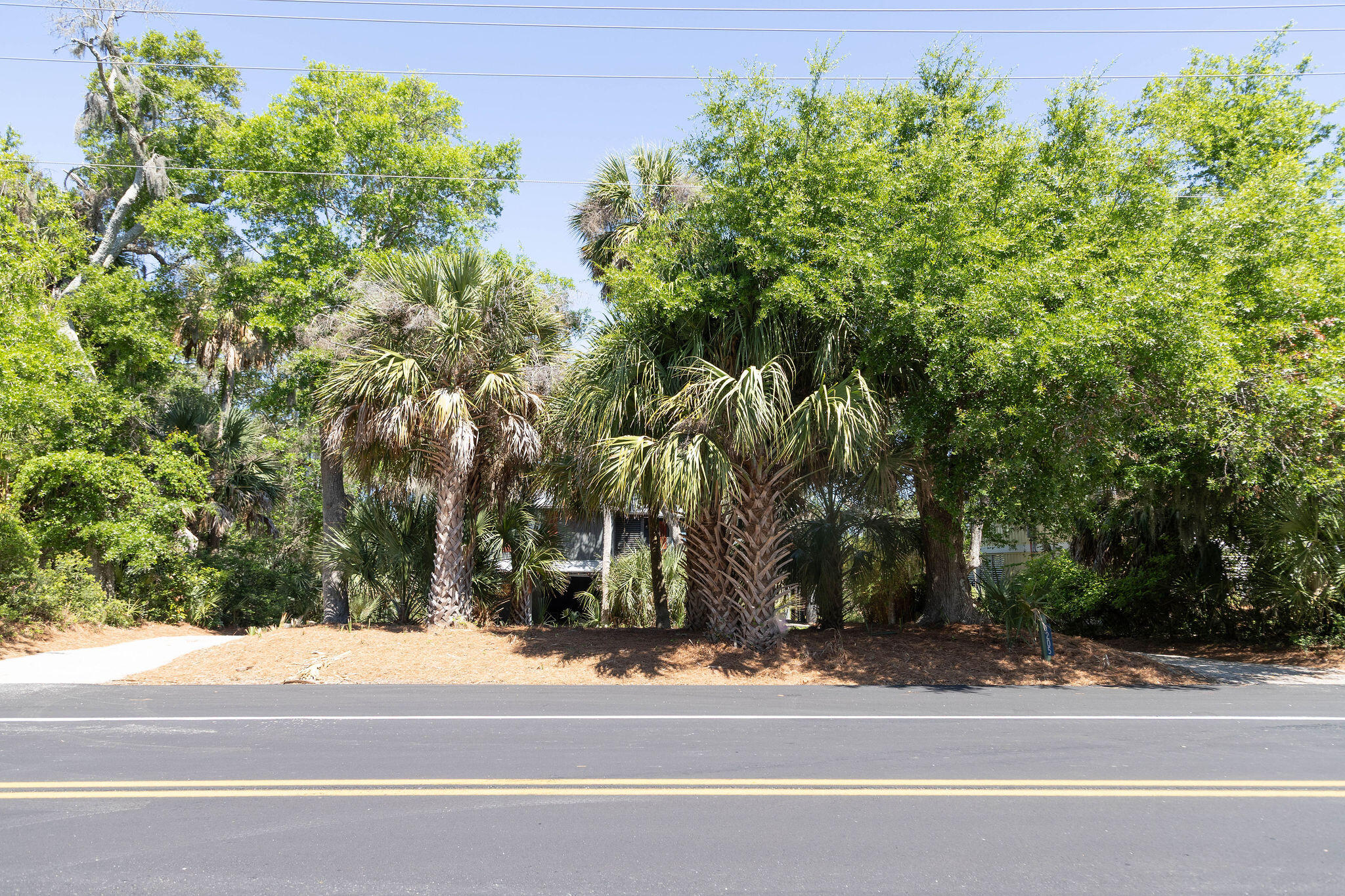 1205 Jungle Road Edisto Island, SC 29438 - Photo 5 of 79 TammaSmithPhotography-8713