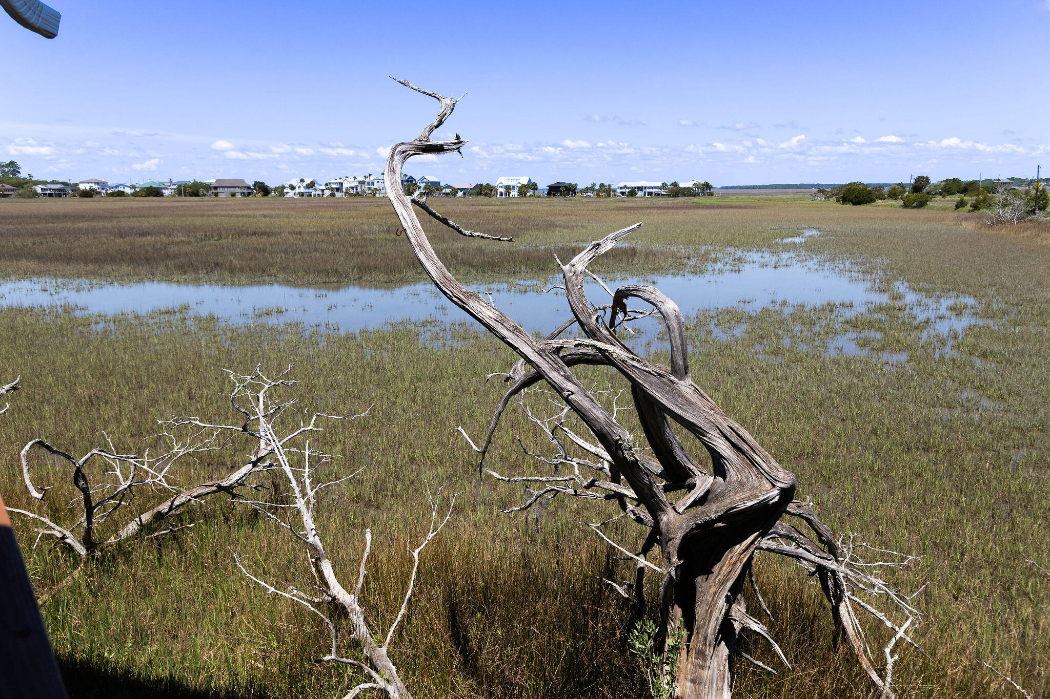 1205 Jungle Road Edisto Island, SC 29438 - Photo 54 of 79 TammaSmithPhotography-8986
