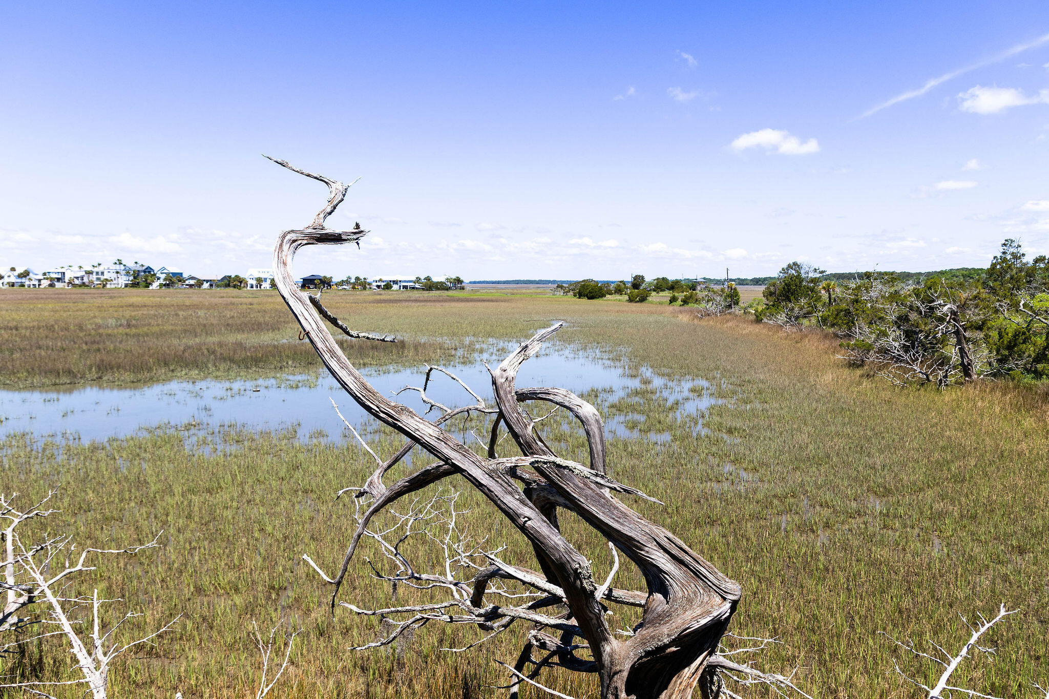 1205 Jungle Road Edisto Island, SC 29438 - Photo 56 of 79 TammaSmithPhotography-8990