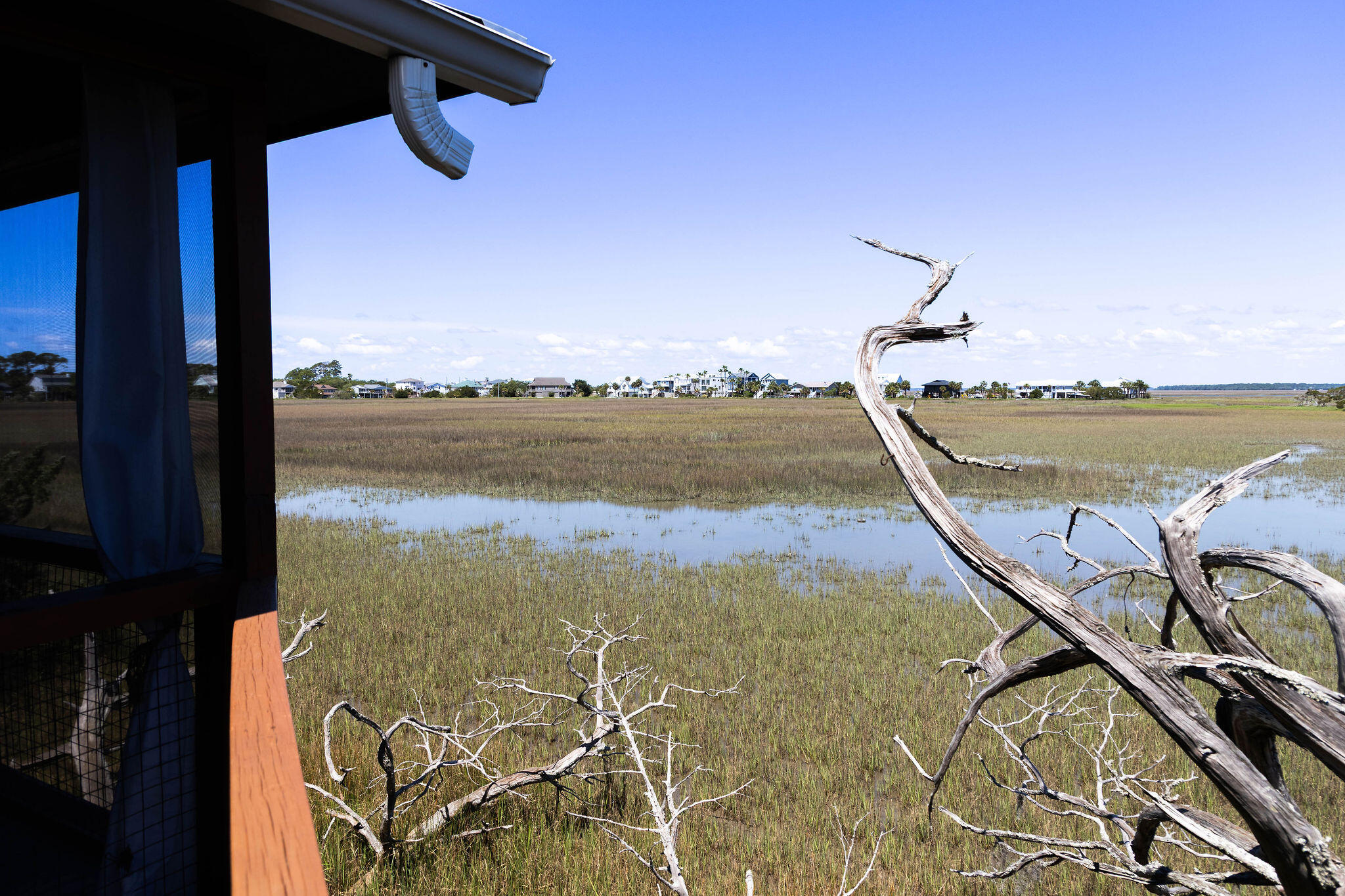 1205 Jungle Road Edisto Island, SC 29438 - Photo 57 of 79 TammaSmithPhotography-8993