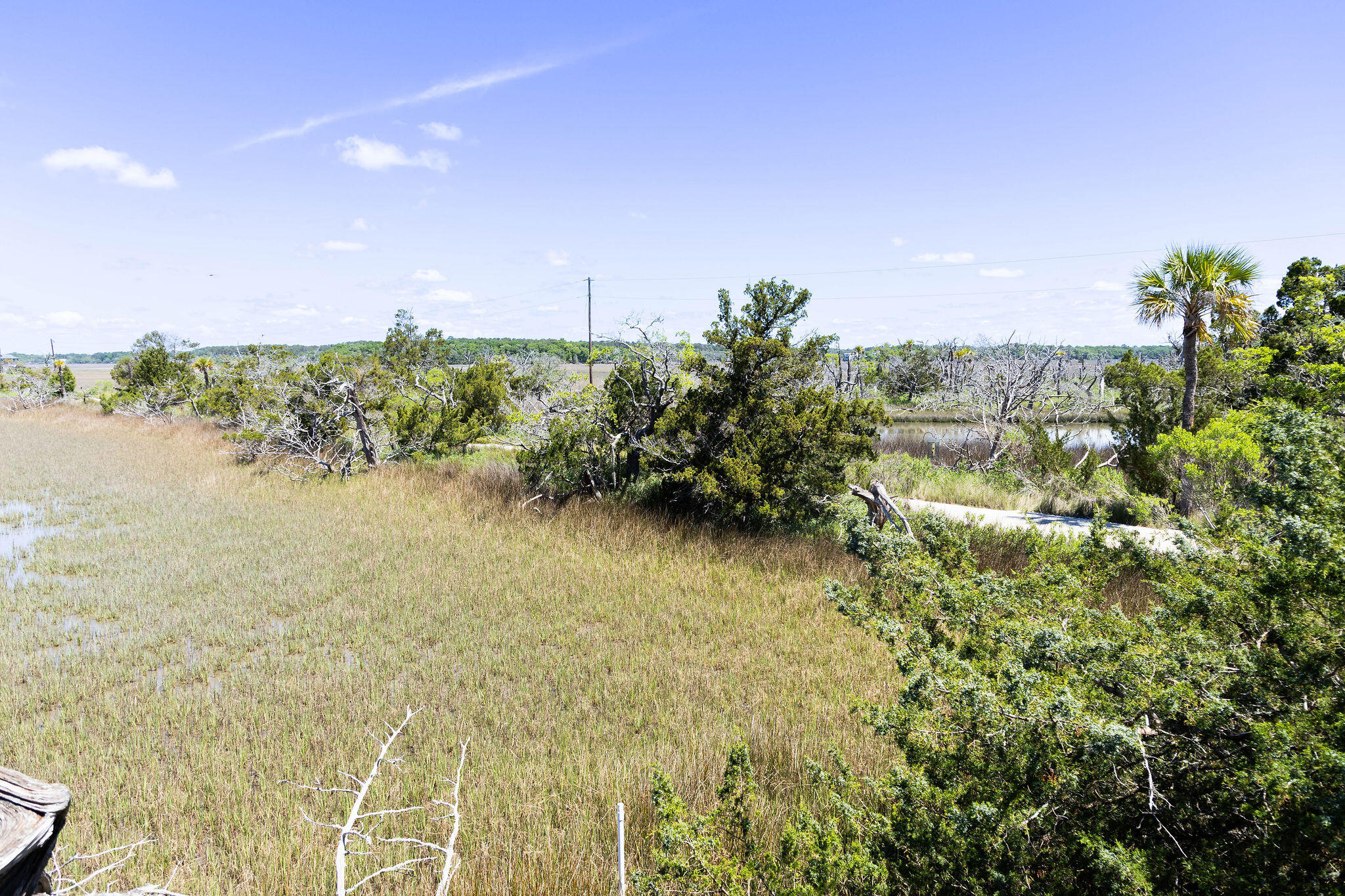 1205 Jungle Road Edisto Island, SC 29438 - Photo 63 of 79 TammaSmithPhotography-8992