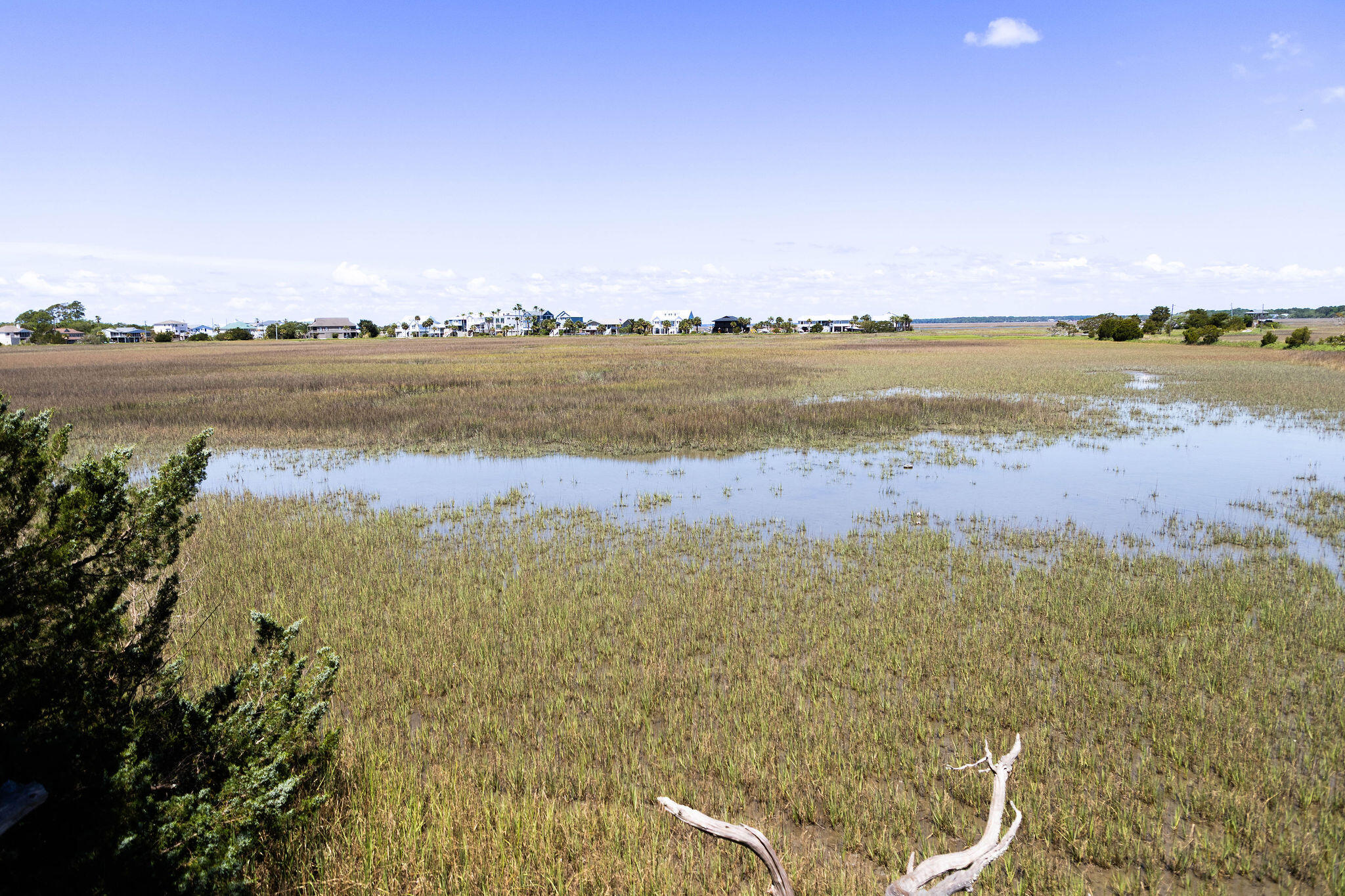 1205 Jungle Road Edisto Island, SC 29438 - Photo 70 of 79 TammaSmithPhotography-9033