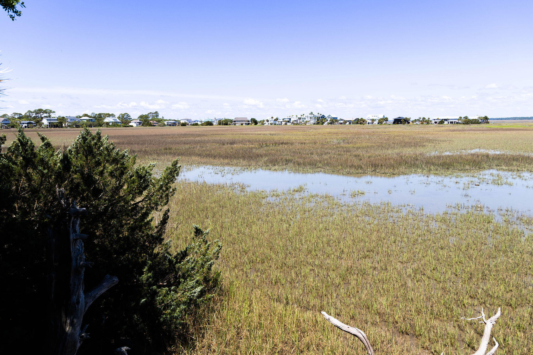 1205 Jungle Road Edisto Island, SC 29438 - Photo 72 of 79 TammaSmithPhotography-9036