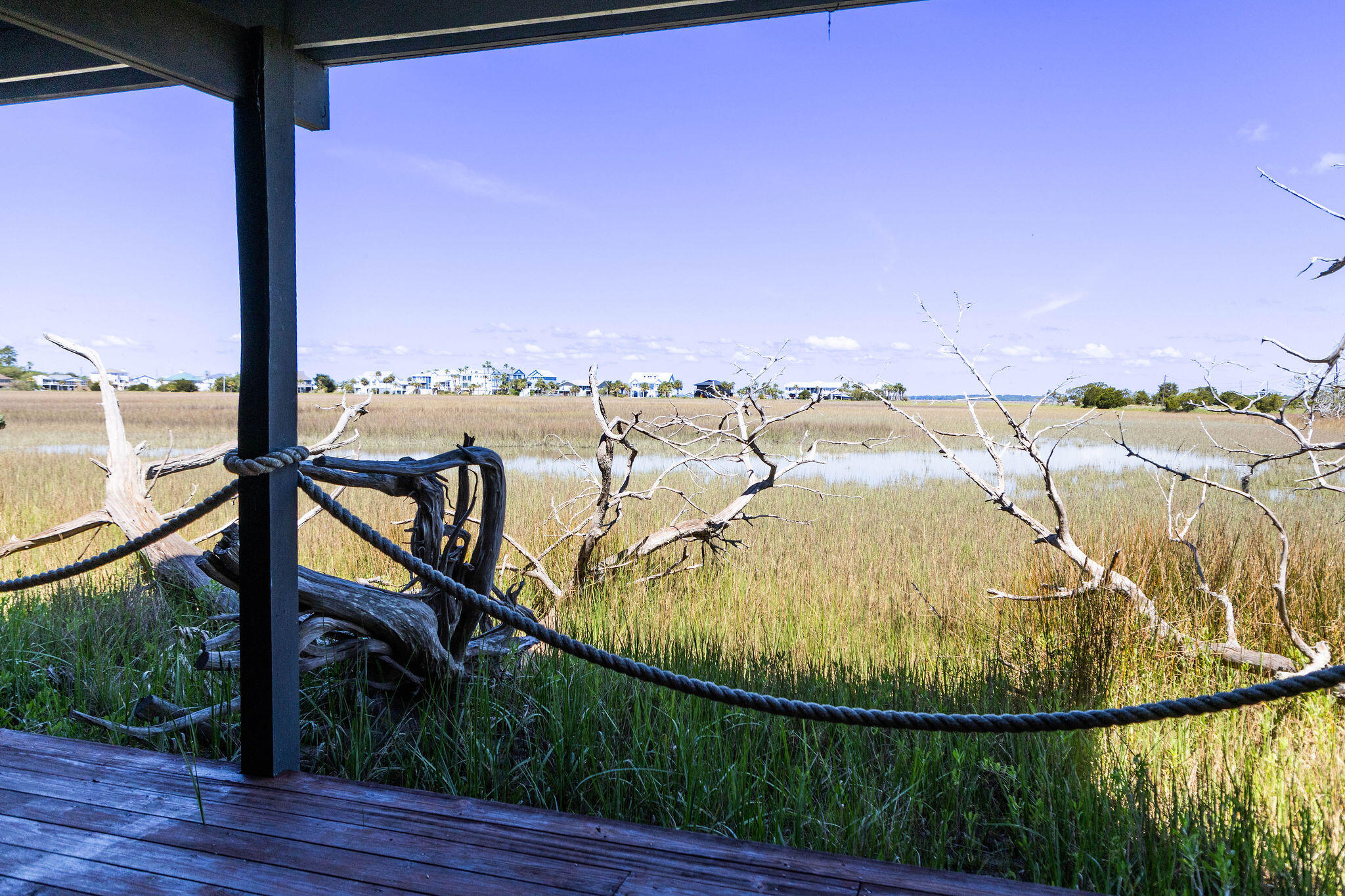 1205 Jungle Road Edisto Island, SC 29438 - Photo 73 of 79 TammaSmithPhotography-8741