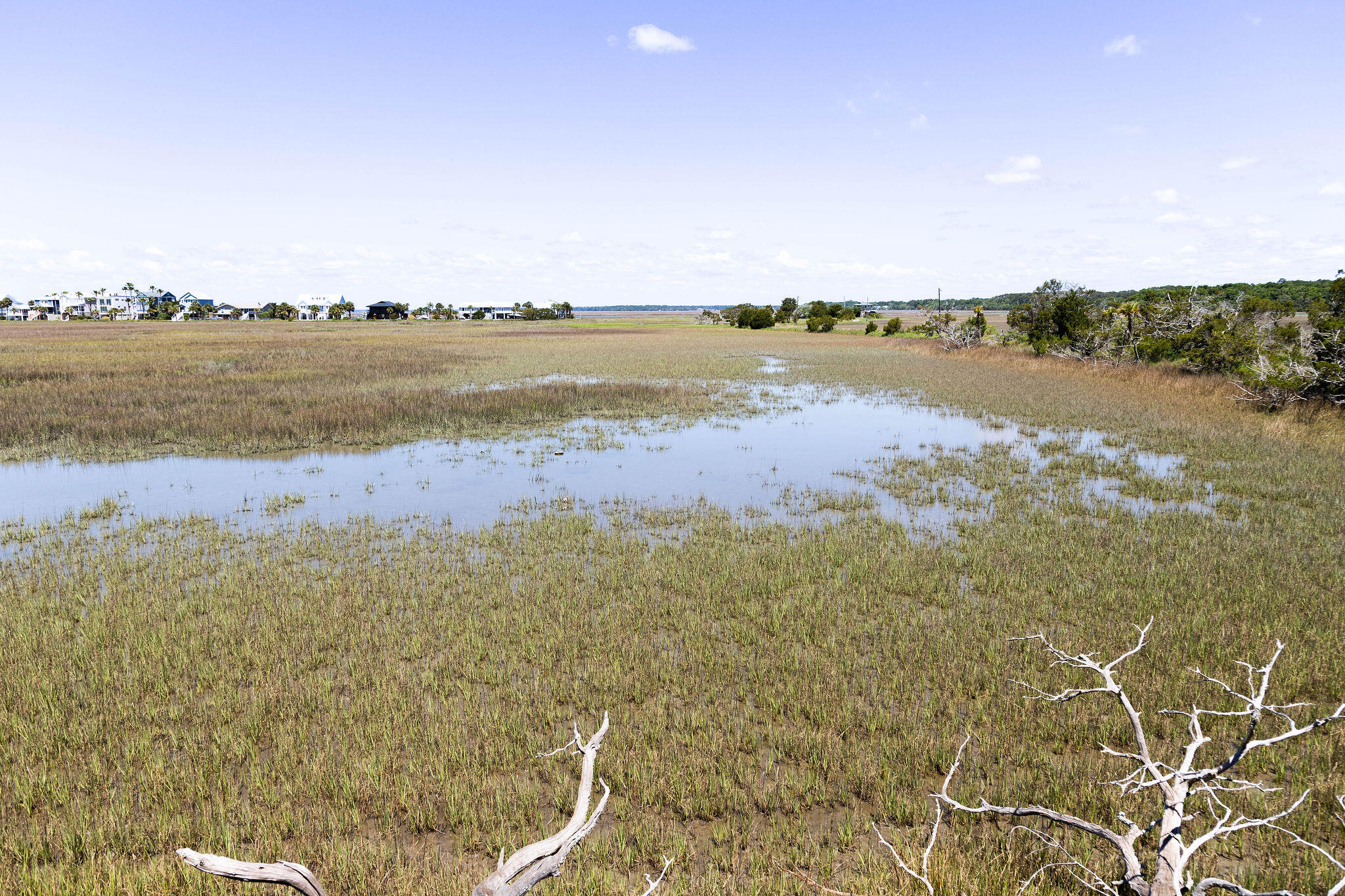 1205 Jungle Road Edisto Island, SC 29438 - Photo 74 of 79 TammaSmithPhotography-9040