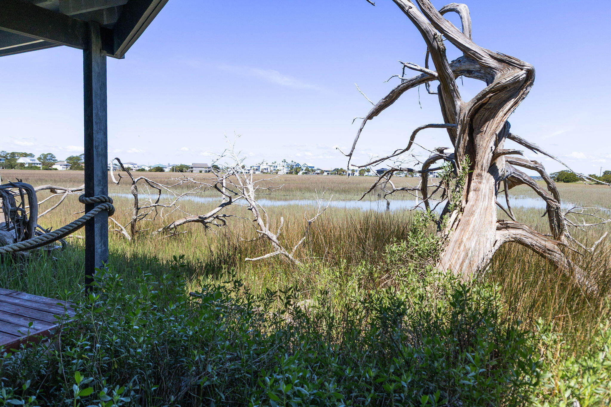1205 Jungle Road Edisto Island, SC 29438 - Photo 75 of 79 TammaSmithPhotography-8743