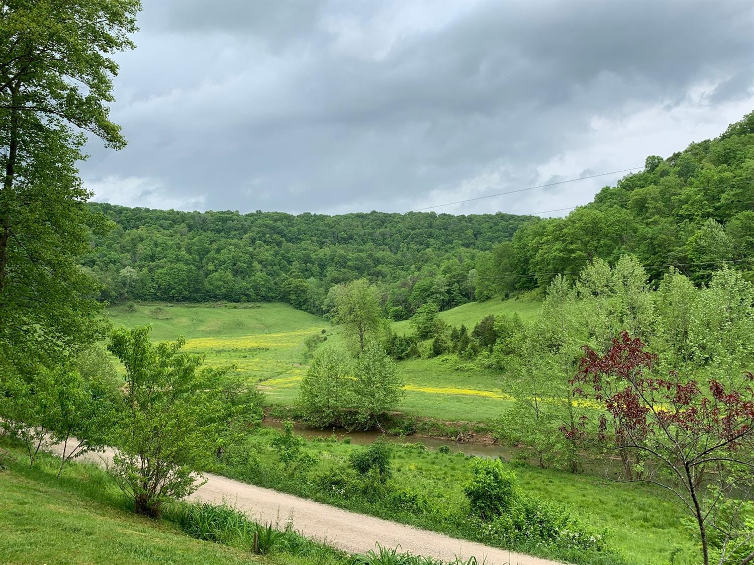 750 Billy Fork Road Irvine, KY 40336 - Photo 2 of 2 Listing Photo