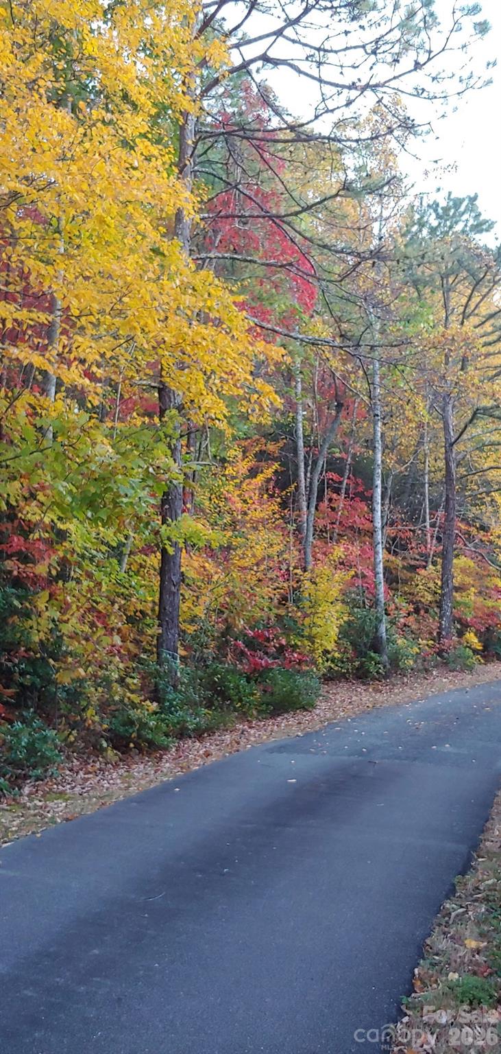 99999 Red Oak Forest Road, Unit 1418 Fairview, NC 28730 - Photo 17 of 24