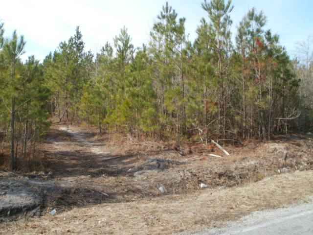 2 Nine Nine Mile Road Maple Hill, NC 28454 - Photo 1 of 12 Primary Photo