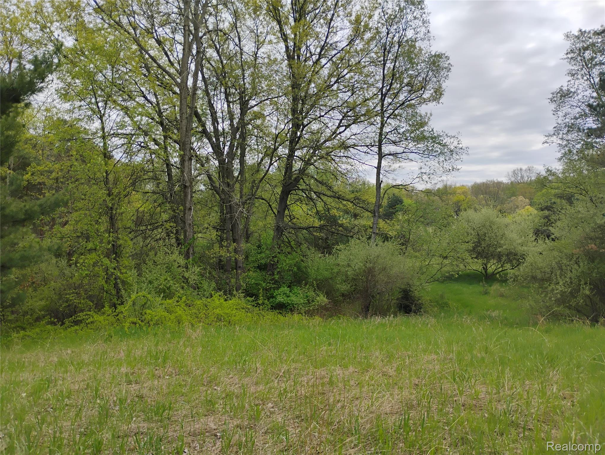 -middle Parcel C Middle Parcel C Middle Road Highland, MI 48357 - Photo 1 of 9 parcel c photo 3.jpg