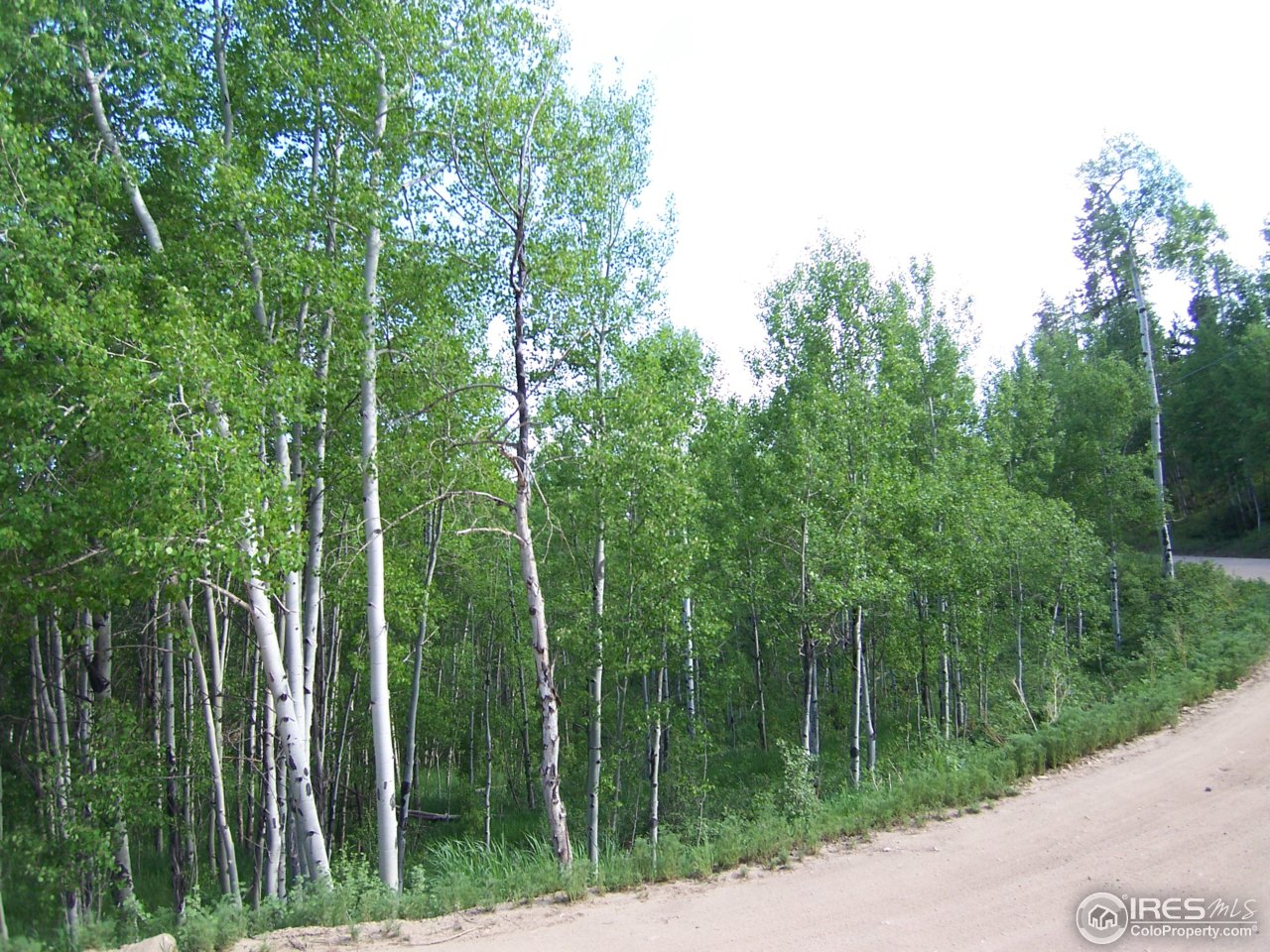 0 North Beaver Road Black Hawk, CO 80422 - Photo 3 of 3 a view of a lush green forest with lots of trees