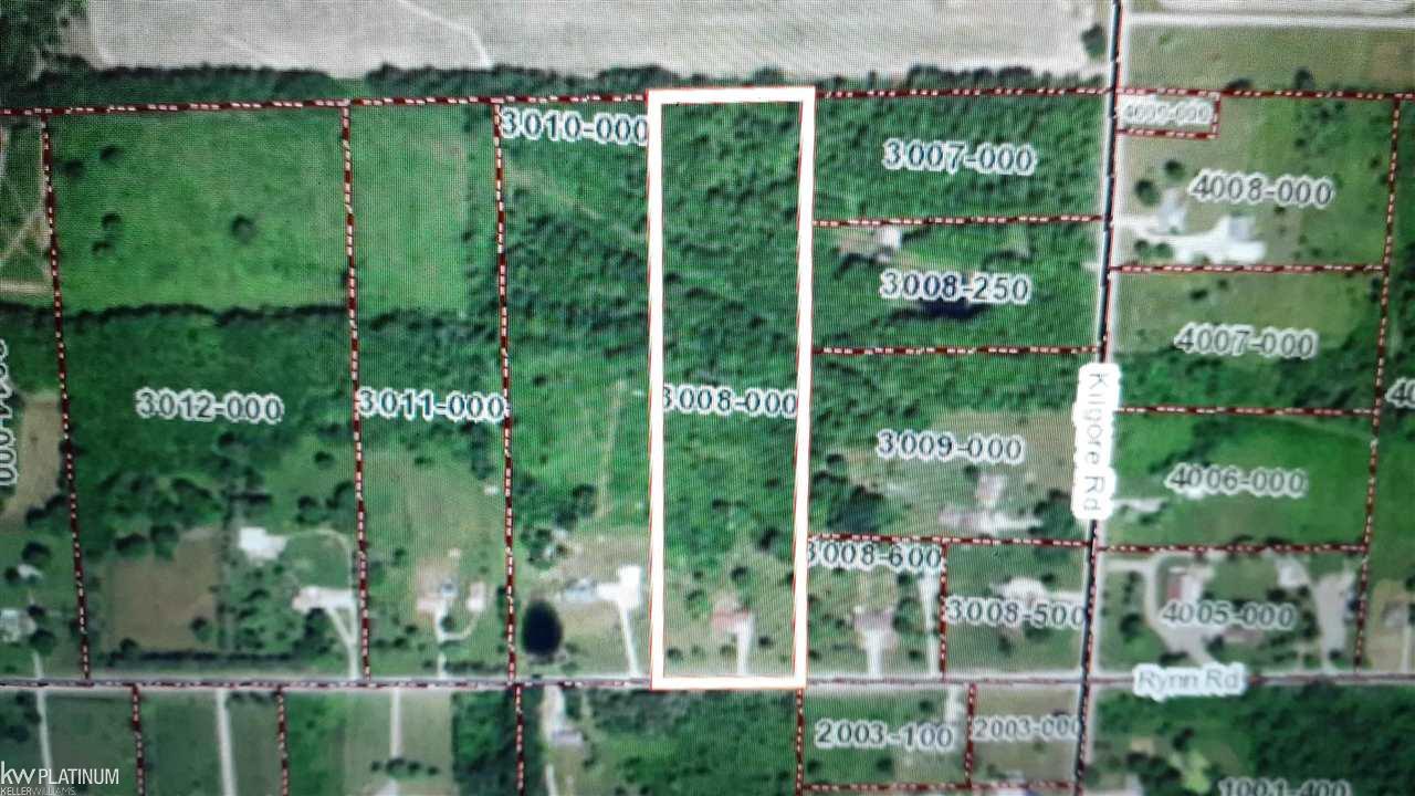 9080 Rynn Road Avoca, MI 48006 - Photo 2 of 48