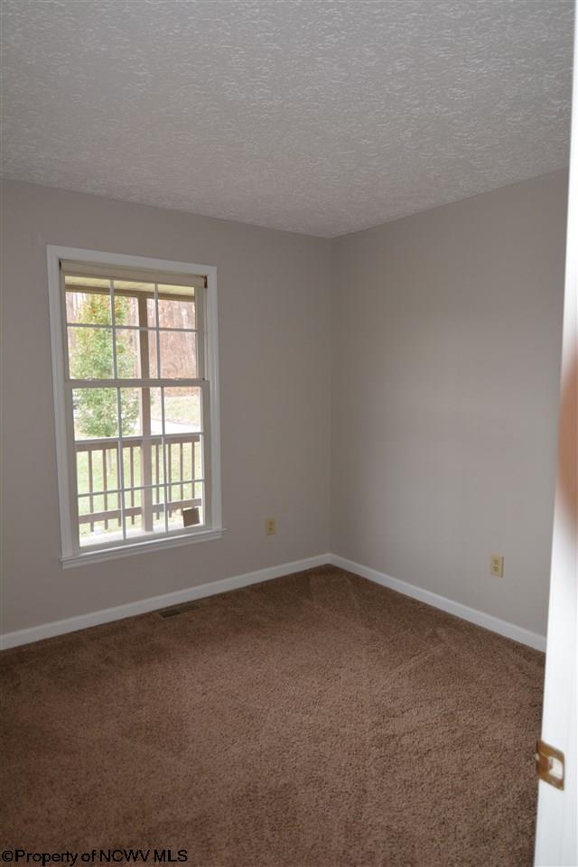 364 Gilman Road Elkins, WV 26241 - Photo 10 of 17 Gallery Image 10