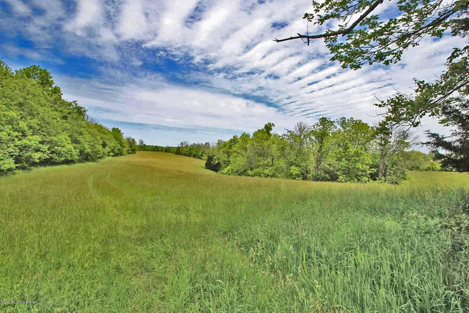 7480 Waddy Road Waddy, KY 40076 - Photo 5 of 9 Property View Tract C Rear