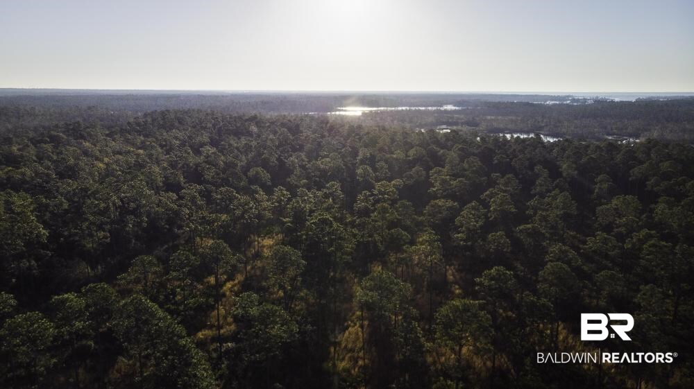 0 Three 3 Rivers Road Seminole, AL 36574 - Photo 19 of 27