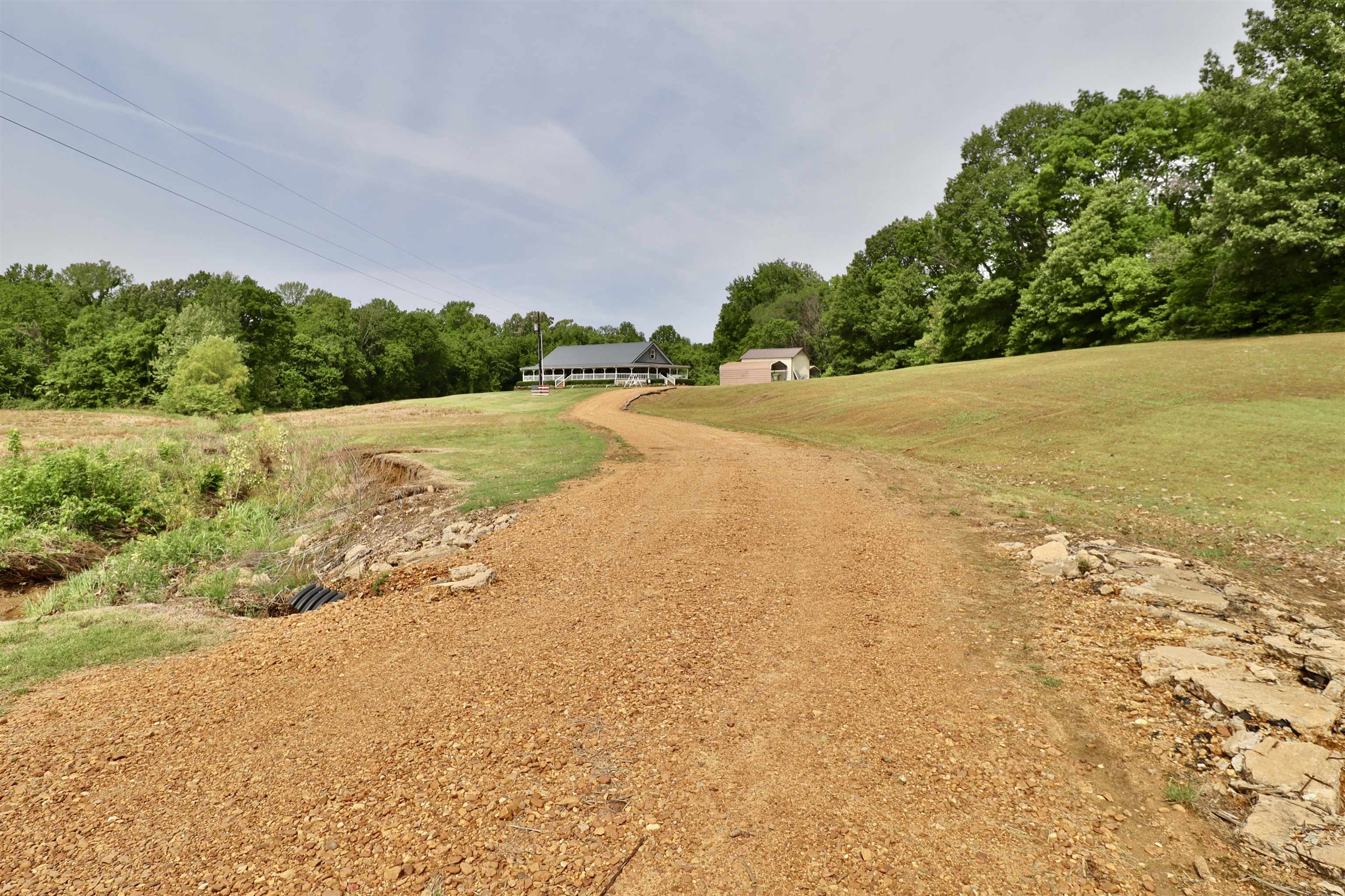 367 Junius Lee Road Ripley, TN 38063 - Photo 4 of 40 Gallery Image 4