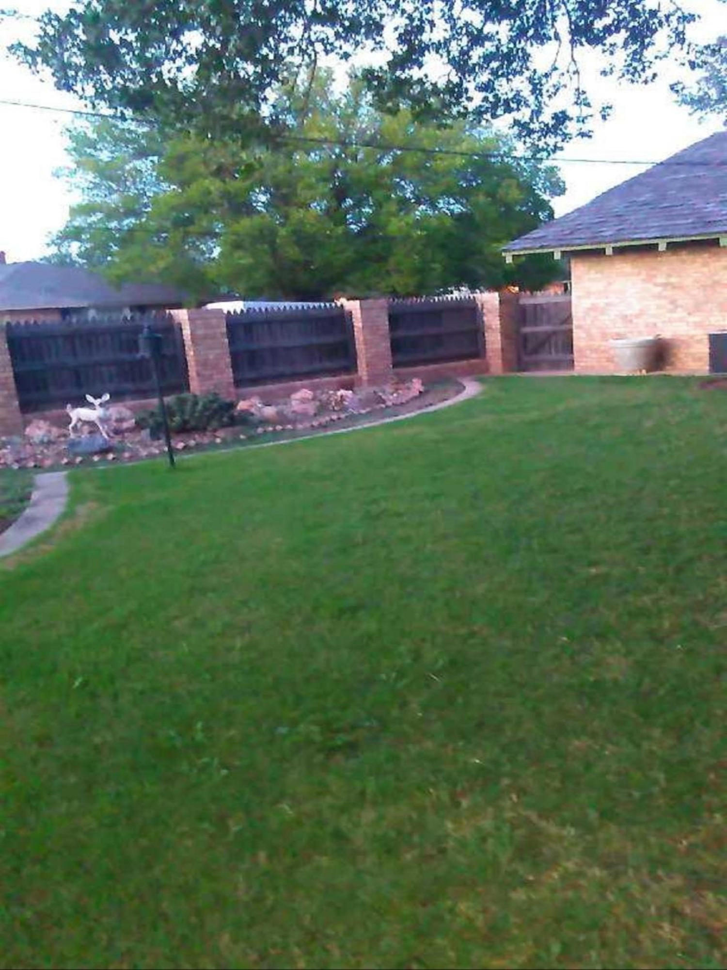 1321 Avenue North Ralls, TX 79357 - Photo 43 of 45 Photo 43