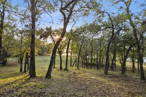 a view of outdoor space with lots of trees