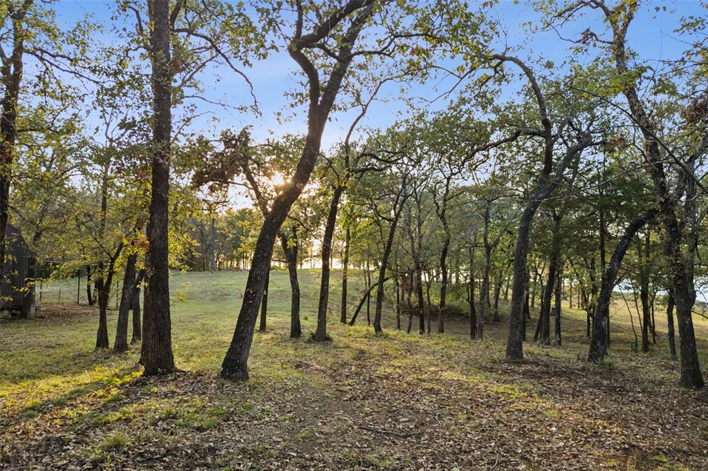 350 West Dickson Lane Oak Point, TX 75068 - Photo 9 of 23 a view of outdoor space with lots of trees