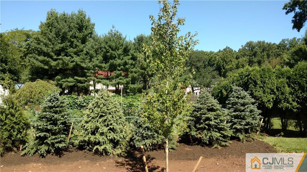 2030 Oak Tree Road Edison, NJ 08820 - Photo 32 of 33 a view of a bunch of trees