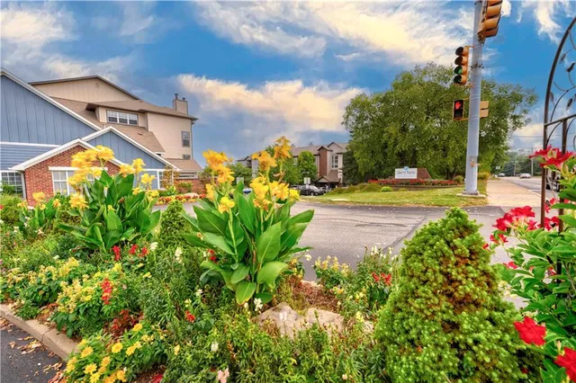 a view of a yard with plants and trees