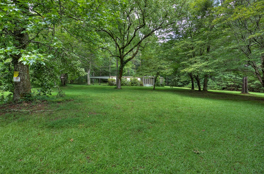 4677 Everett Springs Road, Unit TRACT 6 Armuchee, GA 30105 - Photo 2 of 38 Gallery Image 2
