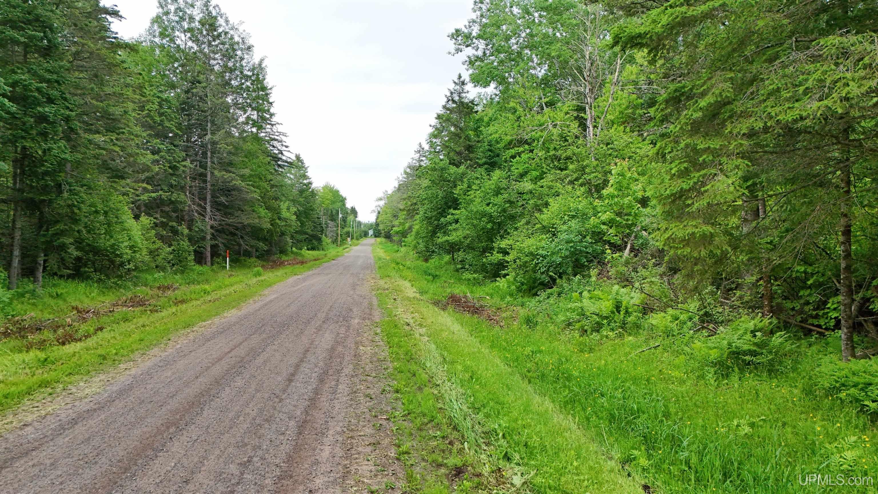 5.23 Messner Road Baraga, MI 49908 - Photo 8 of 18