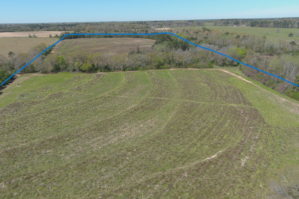 0 Macedonia Ch Road Columbia, AL 36319 - Photo 13 of 61