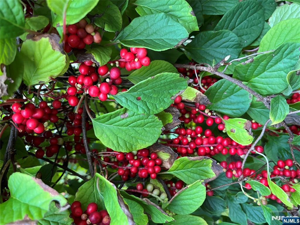 36 Lowe Road Wantage, NJ 07461 - Photo 11 of 24