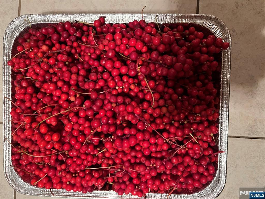 36 Lowe Road Wantage, NJ 07461 - Photo 12 of 24