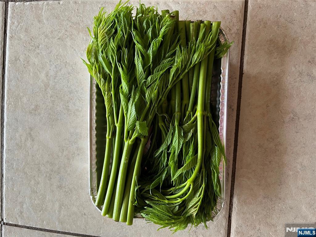 36 Lowe Road Wantage, NJ 07461 - Photo 14 of 24