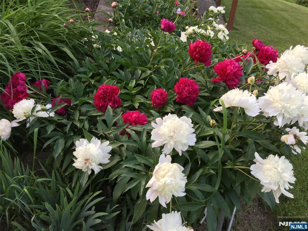 36 Lowe Road Wantage, NJ 07461 - Photo 4 of 24