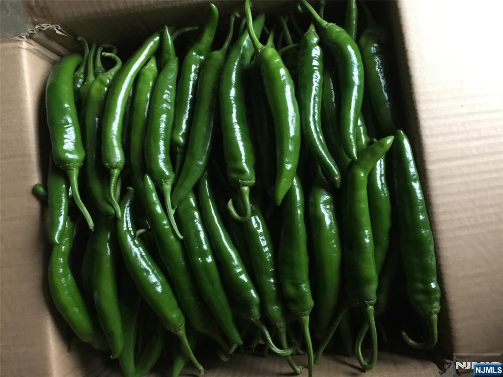 36 Lowe Road Wantage, NJ 07461 - Photo 5 of 24