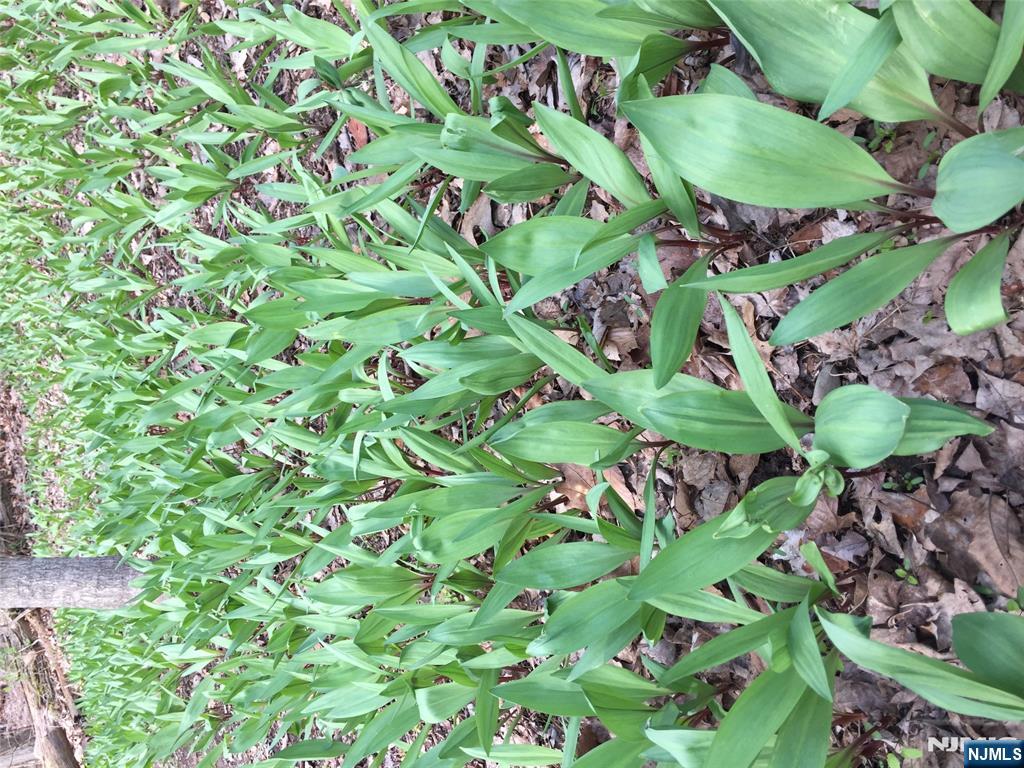 36 Lowe Road Wantage, NJ 07461 - Photo 7 of 24