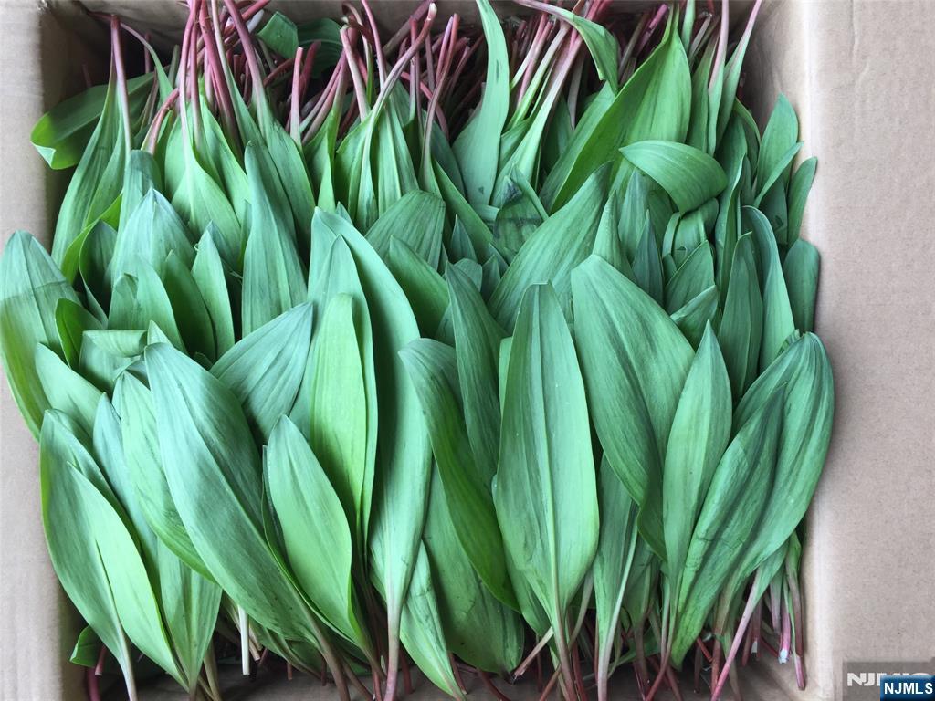 36 Lowe Road Wantage, NJ 07461 - Photo 8 of 24