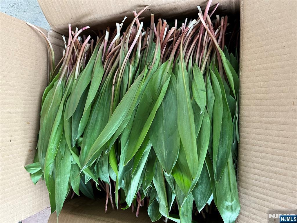 36 Lowe Road Wantage, NJ 07461 - Photo 9 of 24