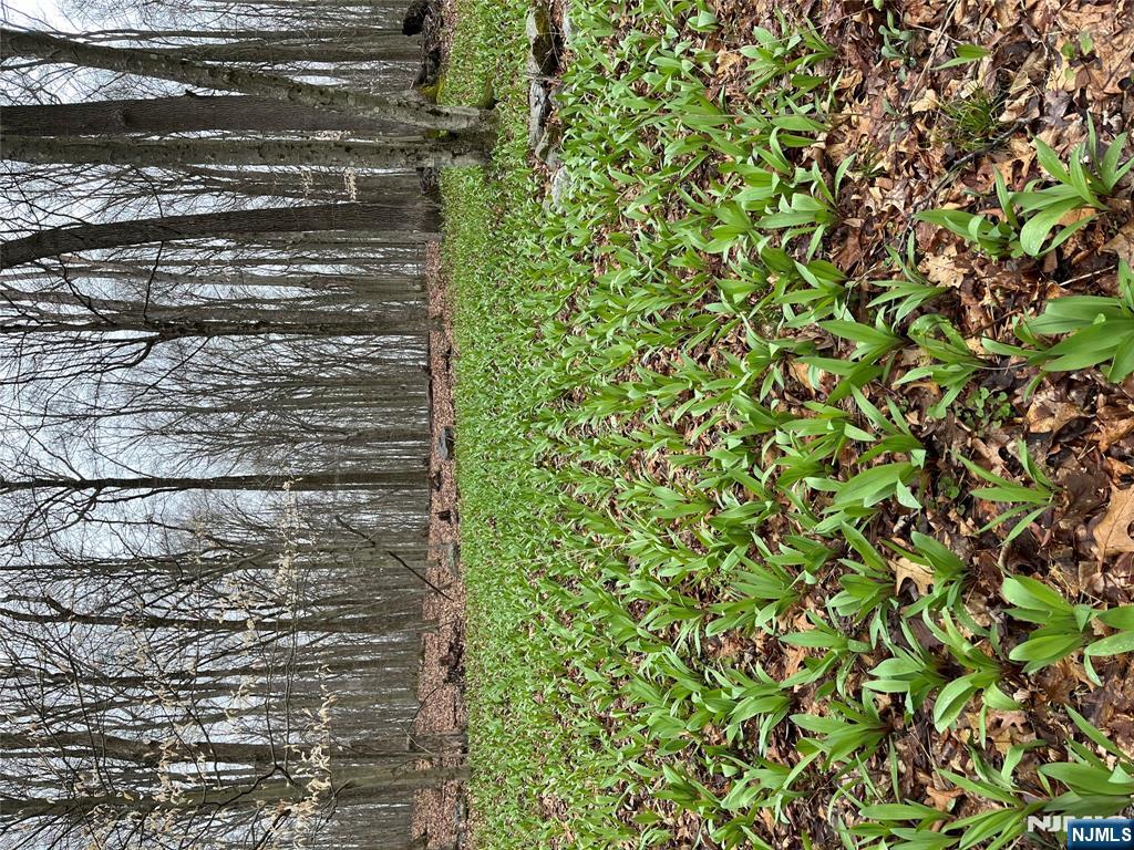 36 Lowe Road Wantage, NJ 07461 - Photo 10 of 24