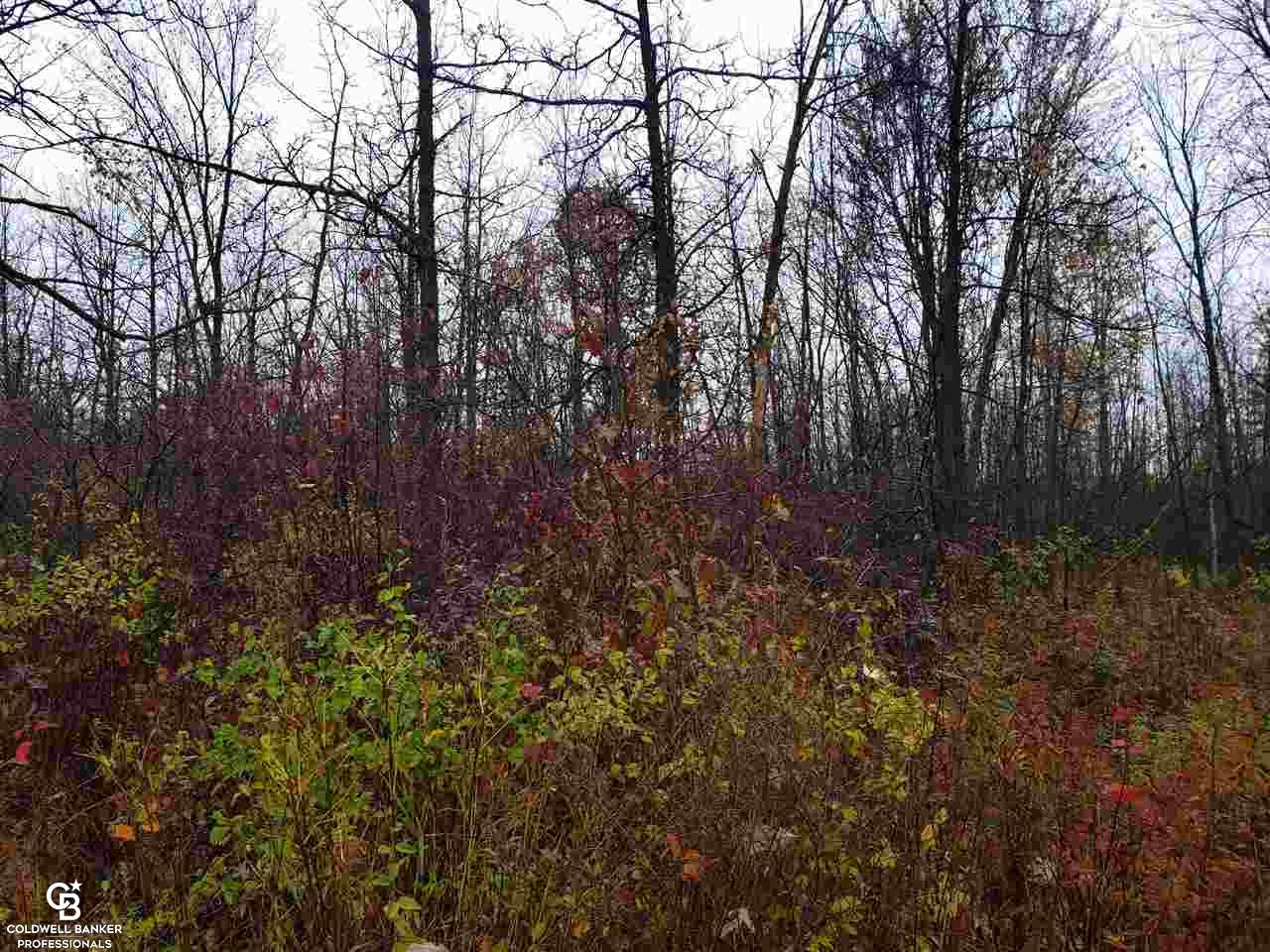 Burt Road Emmett, MI 48022 - Photo 6 of 6