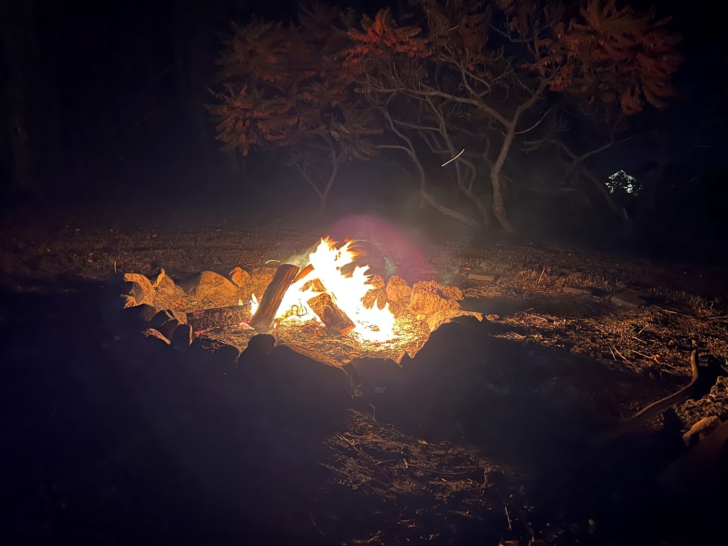 5770 South Indian Trail Rochelle, IL 61068 - Photo 20 of 21 a sunset view with a lake