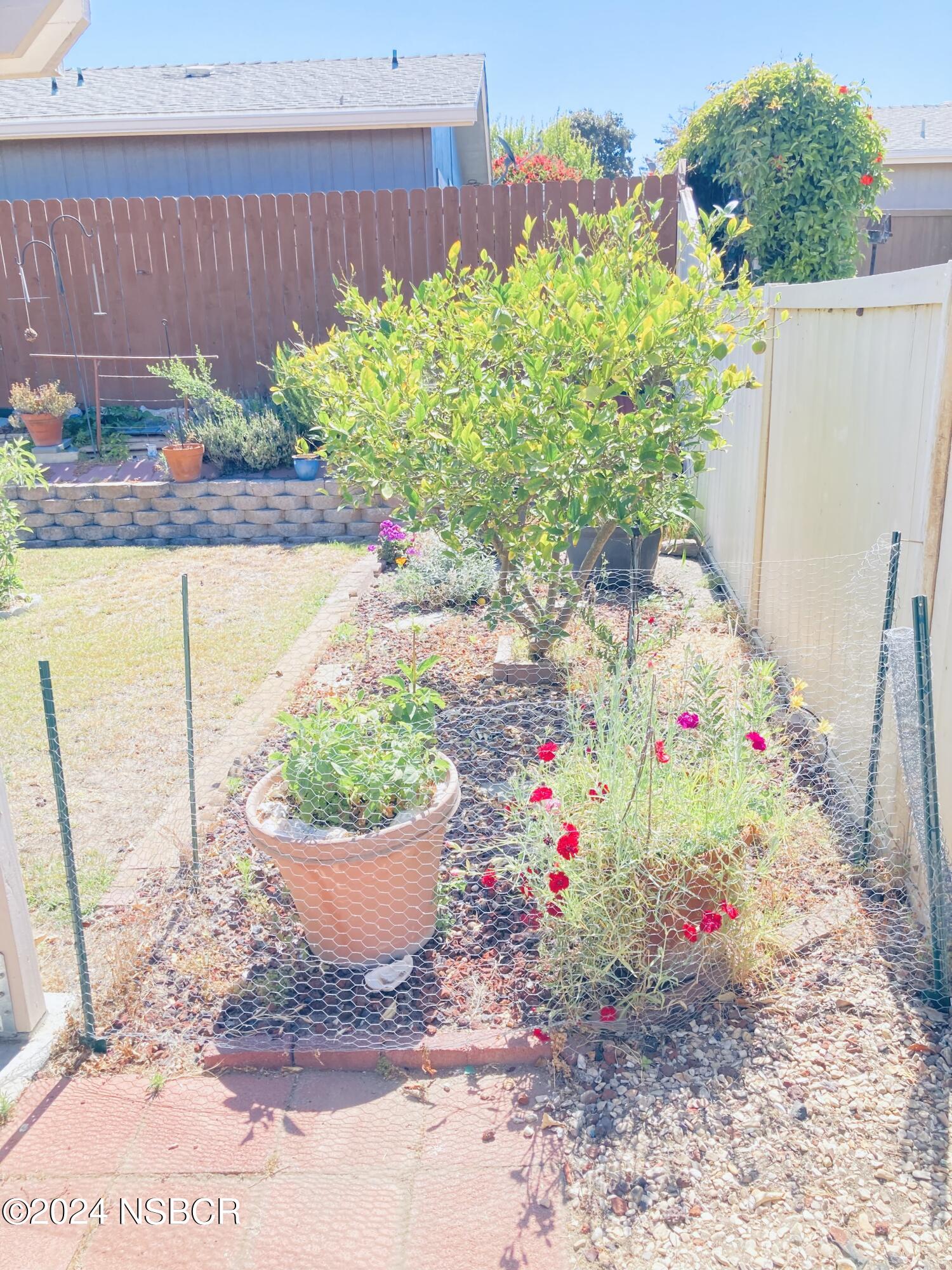 958 South Ridge View Drive Santa Maria, CA 93455 - Photo 51 of 67 IMG_9862