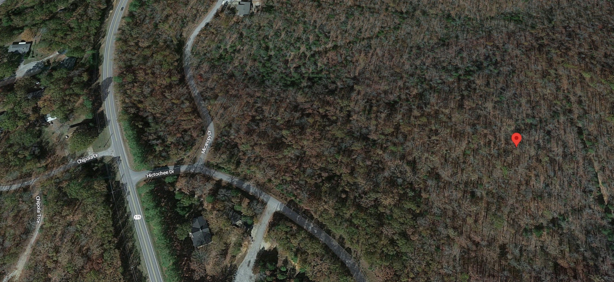 Lot 6 4th Other, AR 72529 - Photo 3 of 6 a view of a house with a plant