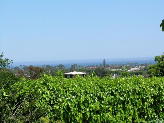 952 Garcia Road Santa Barbara, CA 93103 - Photo 4 of 6 View from garden